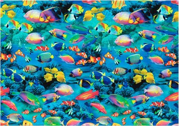 Underwater Paradise